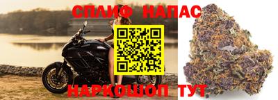гидра Конаково