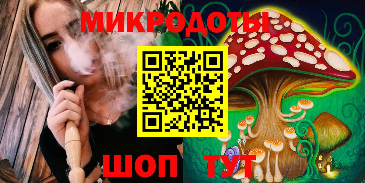 Псилоцибиновые грибы Cubensis Краснокаменск