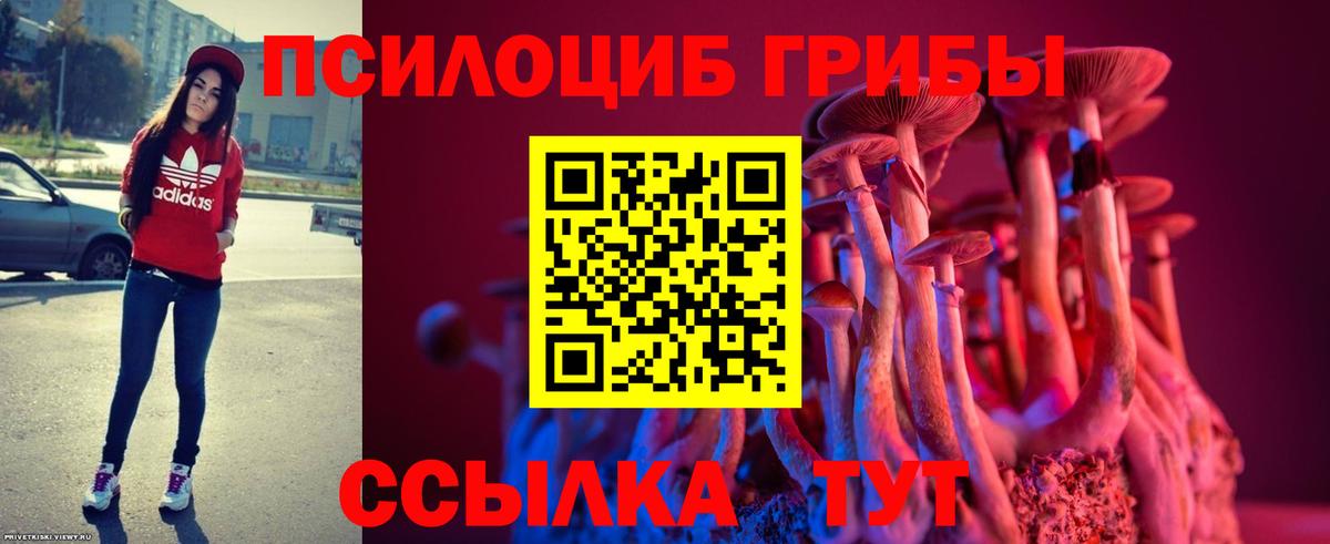 Краснокаменск  Псилоцибиновые грибы мухоморы  Вход с VPN 